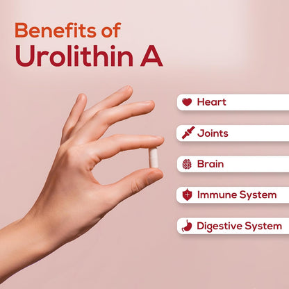 Urolithin A Capsules